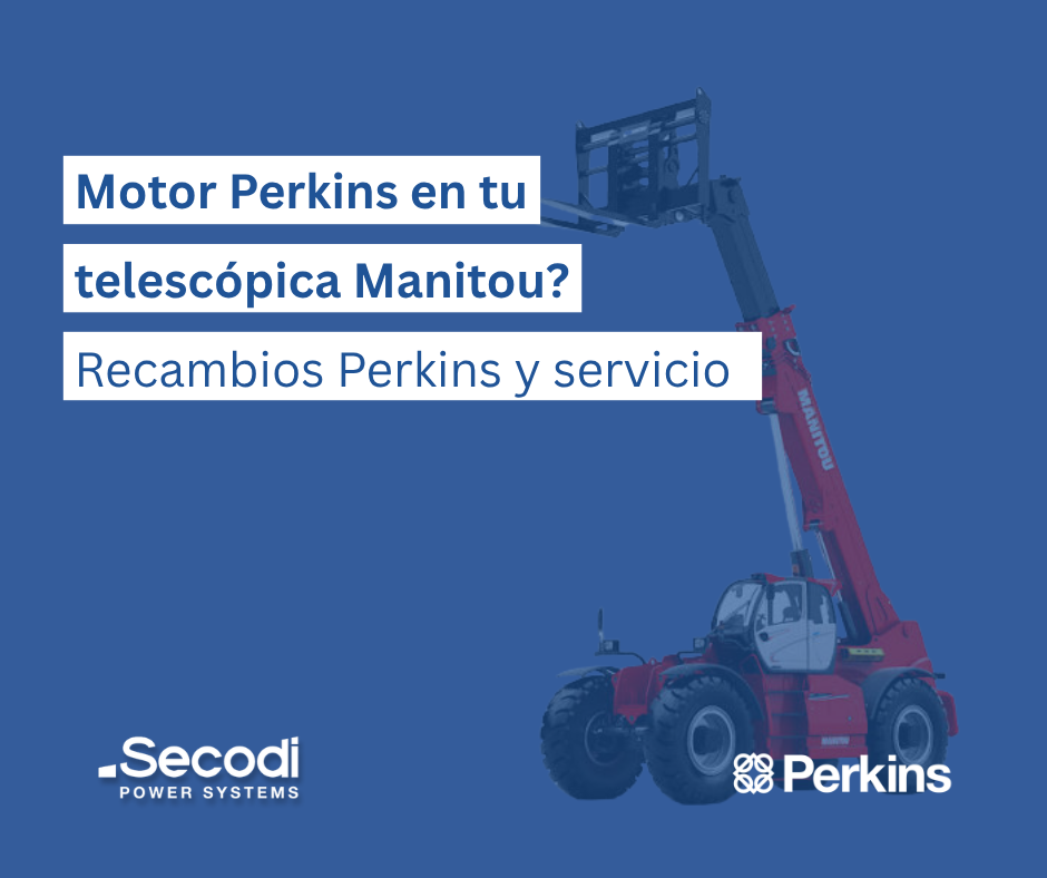 Motor Perkins Manitou