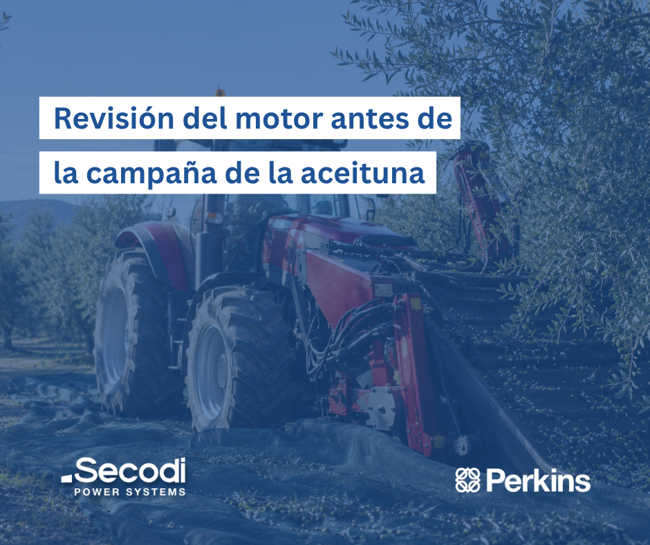 perkins campaña aceituna